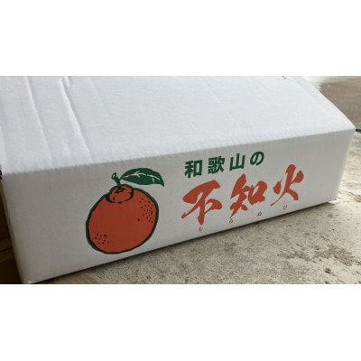 【化粧箱入り】不知火(15～20玉入り)