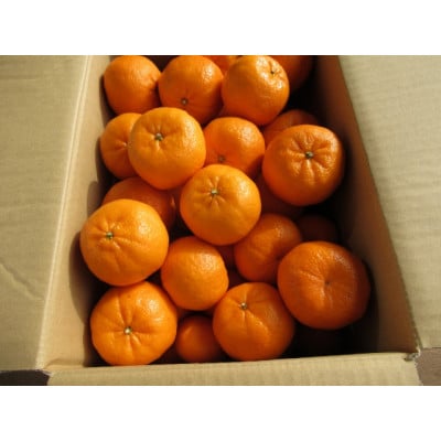 ポンカン(サイズ混合)7.5キロ