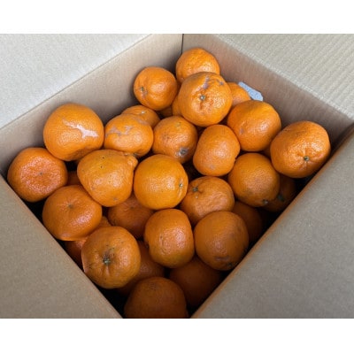 【訳あり】ポンカン(サイズ混合)7.5キロ