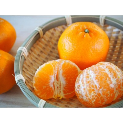 【訳あり】ポンカン(サイズ混合)7.5キロ