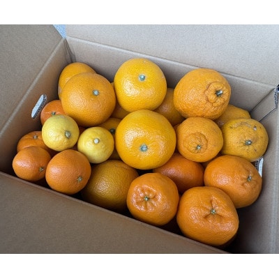 【訳あり】旬の柑橘詰め合わせ(3種以上)[5キロ]