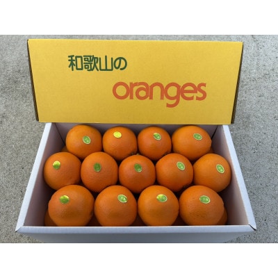 国産ネーブルオレンジ5キロ