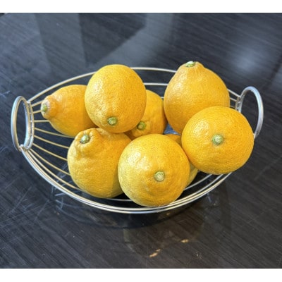 国産レモン(サイズ混合)3キロ
