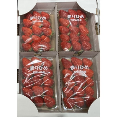 和歌山県ブランドいちご「まりひめ」約250g×4p