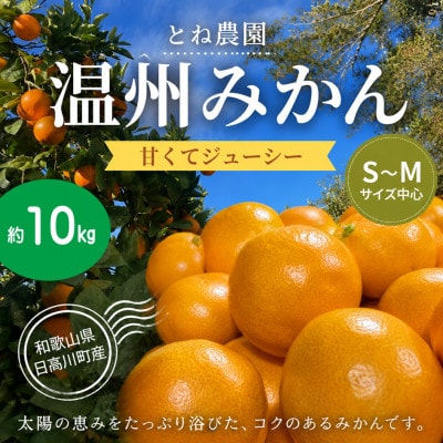 【家庭用】甘い ジューシー 温州みかん(宮川早生)約10kg　S～Mサイズ中心　和歌山県日高川町産