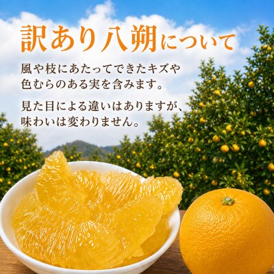 【訳あり】完熟 木成り 八朔(はっさく)約5kg　和歌山県日高川町産