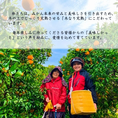 【家庭用】濃厚!甘い!木なり完熟「ゆら早生みかん」約5kg(Sサイズ中心)和歌山県日高川町産