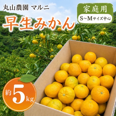【家庭用】　早生みかん　S～Mサイズ中心　約5kg　濃厚な甘みとほどよい酸味　和歌山県日高川町産