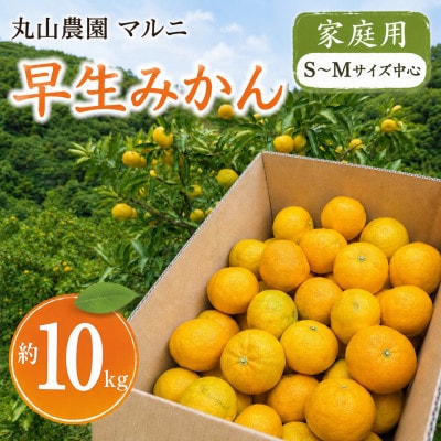 【家庭用】　早生みかん　S～Mサイズ中心　約10kg　濃厚な甘みとほどよい酸味　和歌山県日高川町産