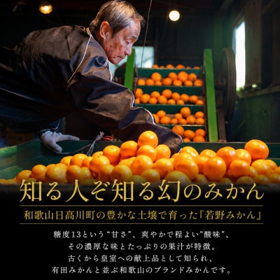 【訳あり】樹上完熟　幻の「若野みかん」温州みかん　サイズ混合約10kg/和歌山県日高川町/圦本悟農園