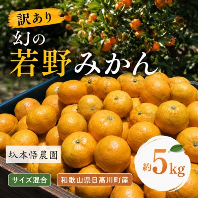 【訳あり】樹上完熟　幻の「若野みかん」(温州みかん)サイズ混合約5kg/和歌山県日高川町/圦本悟農園