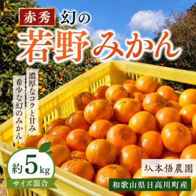 【秀品】樹上完熟　幻の「若野みかん」(温州みかん)サイズ混合約5kg/和歌山県日高川町/圦本悟農園