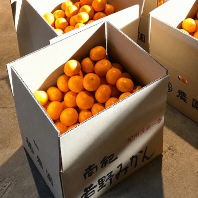 【秀品】樹上完熟　幻の「若野みかん」(温州みかん)サイズ混合約5kg/和歌山県日高川町/圦本悟農園