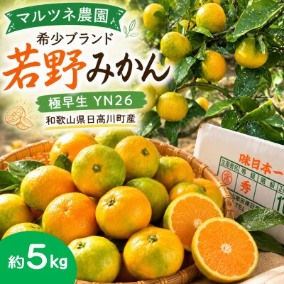旬を先取り!極早生みかん 3S～Lサイズ約5kg(青みかん、品種:YN26)/和歌山県日高川町産