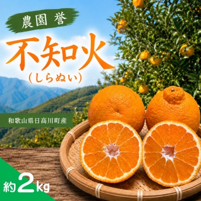 【2027年2月発送】熟成 不知火(しらぬい/デコポンと同品種)約2kg(20玉入り)