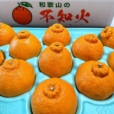 【2027年2月発送】熟成 不知火(しらぬい/デコポンと同品種)約2kg(20玉入り)