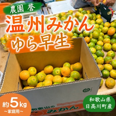 【2026年10月下旬から順発送】ゆら早生みかん 約5kg(3S～Sサイズ中心)/和歌山県日高川町産