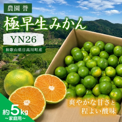【2026年9月中旬から順次発送】青い極早生みかん YN26 約5kg(3S～Sサイズ中心)