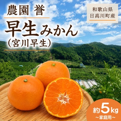 【2026年12月発送】温州みかん 宮川早生 約5kg(3S〜Sサイズ中心)/和歌山県日高川町産