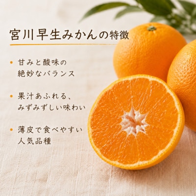 【2026年12月発送】温州みかん 宮川早生 約5kg(3S〜Sサイズ中心)/和歌山県日高川町産