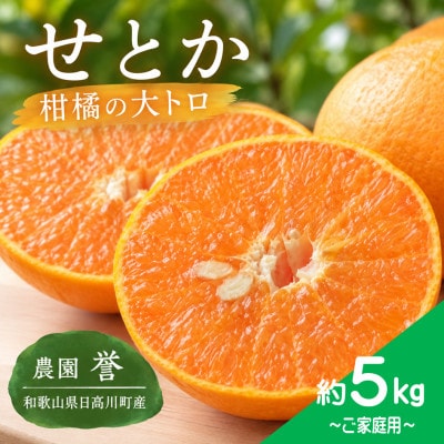 【2027年2月中旬から順次発送】せとか　約5kg/和歌山県日高川町産
