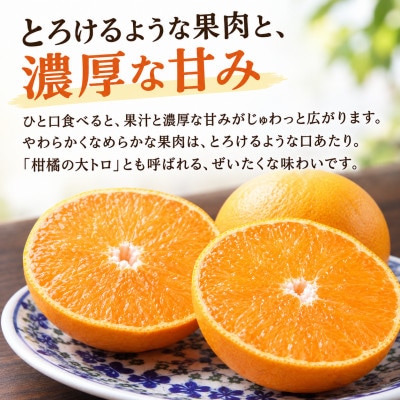 【2027年2月中旬から順次発送】せとか　約5kg/和歌山県日高川町産