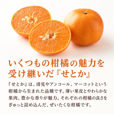 【2027年2月中旬から順次発送】せとか　約5kg/和歌山県日高川町産