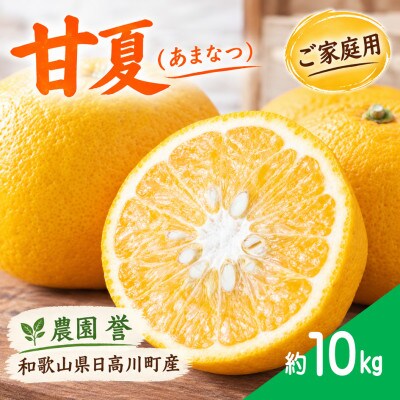 【2027年3月発送】甘夏　約10kg/和歌山県日高川町産