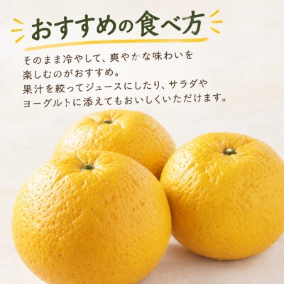 【2027年3月発送】甘夏　約10kg/和歌山県日高川町産