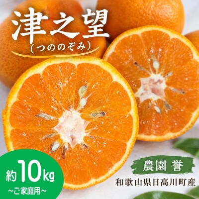 【2027年1月発送】希少品種　津之望(つののぞみ)約10kg/和歌山県日高川町産