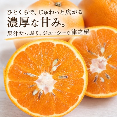 【2027年1月発送】希少品種　津之望(つののぞみ)約10kg/和歌山県日高川町産