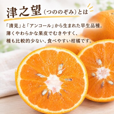 【2027年1月発送】希少品種　津之望(つののぞみ)約10kg/和歌山県日高川町産