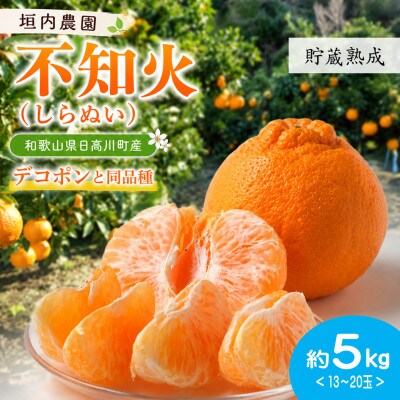 【2027年2月下旬から順次発送】貯蔵熟成　不知火(しらぬい)約5kg 13〜20玉入り