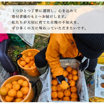 【2027年2月下旬から順次発送】貯蔵熟成　不知火(しらぬい)約5kg 13〜20玉入り