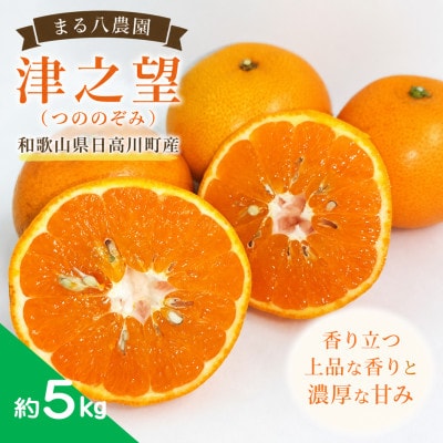 【2027年1月～2月順次発送】津之望(つののぞみ)　約5kg　和歌山県日高川町産