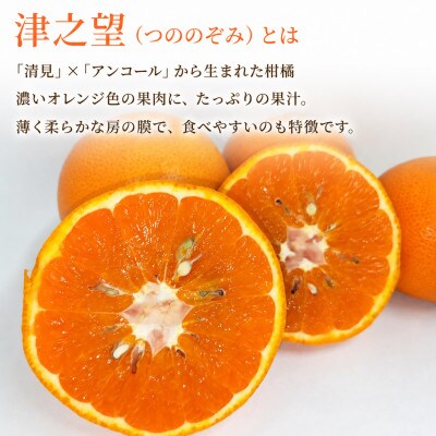 【2027年1月～2月順次発送】津之望(つののぞみ)　約5kg　和歌山県日高川町産