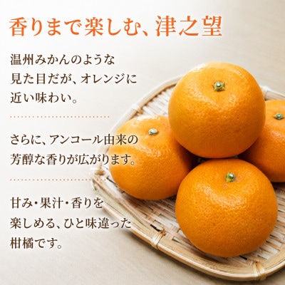 2027年1月～2月順次発送】津之望(つののぞみ) 約5kg 和歌山県日高川町
