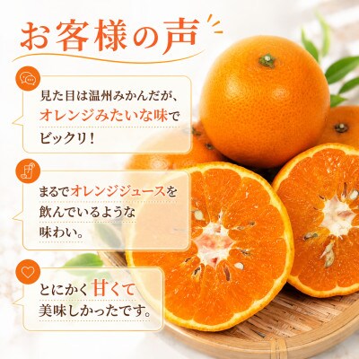 【2027年1月～2月順次発送】津之望(つののぞみ)　約5kg　和歌山県日高川町産