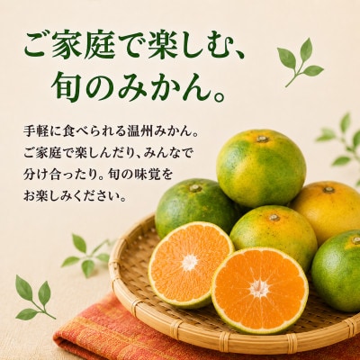 【2026年10月発送】極早生みかん「上野早生」約5kg　和歌山県日高川町産