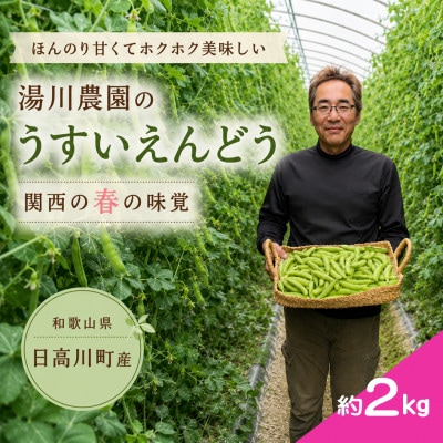 【2027年1月から発送】大粒でほんのり甘い!うすいえんどう 約2kg/和歌山県日高川町産