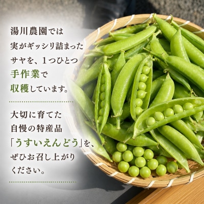 【2027年1月から発送】大粒でほんのり甘い!うすいえんどう 約2kg/和歌山県日高川町産