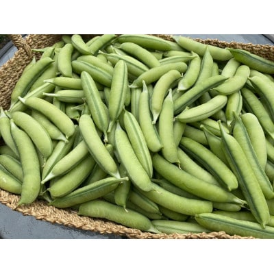 【2027年1月から発送】大粒でほんのり甘い!うすいえんどう 約2kg/和歌山県日高川町産