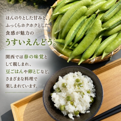 【2027年1月から発送】大粒でほんのり甘い!うすいえんどう 約2kg/和歌山県日高川町産
