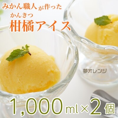 みかん職人が作った柑橘アイス1000ml&times;2(夢オレンジ&times;2)