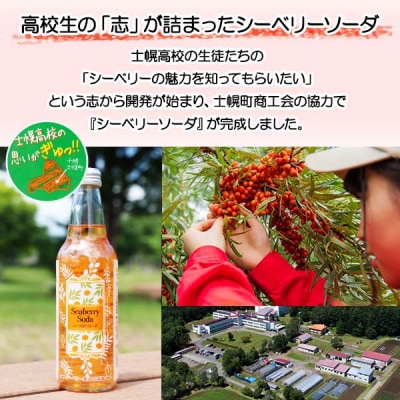 シーベリーソーダ 330ml×10本  士幌高校生開発 サジー 十勝 士幌町【C01】