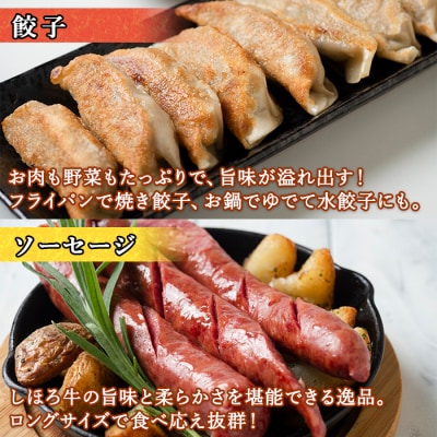 しほろ牛加工品詰め合わせ(ハンバーグ・ソーセージ・餃子) 【N26】