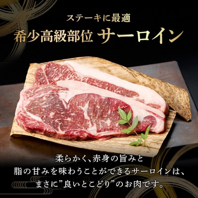 北海道 しほろ牛 サーロイン ステーキ 計800g 赤身肉の旨味 十勝 士幌【S01】