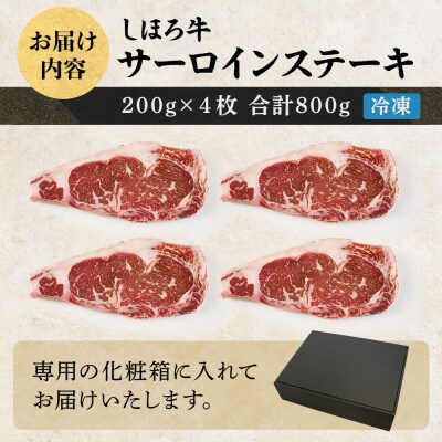 北海道 しほろ牛 サーロイン ステーキ 計800g 赤身肉の旨味 十勝 士幌【S01】