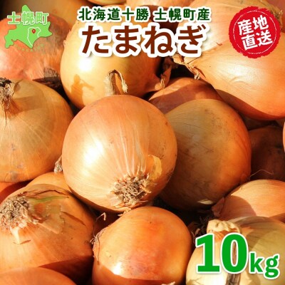 北海道 士幌産 たまねぎ 10kg 採れたて玉ねぎ 旬の野菜 十勝 士幌町【V07】