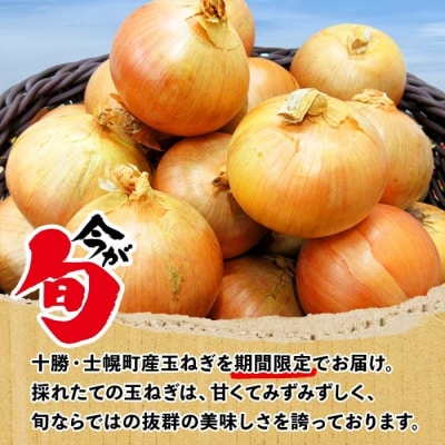 北海道 士幌産 たまねぎ 10kg 採れたて玉ねぎ 旬の野菜 十勝 士幌町【V07】